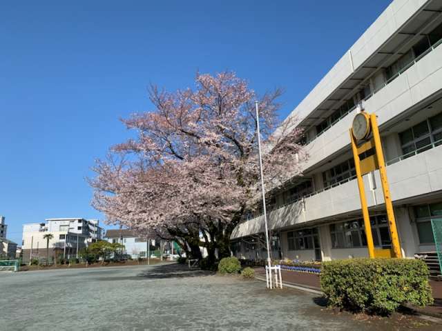 小平市立小平第七小学校