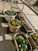 記事画像1 記事画像1