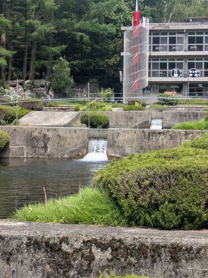 画像３