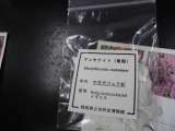 記事画像1 記事画像1