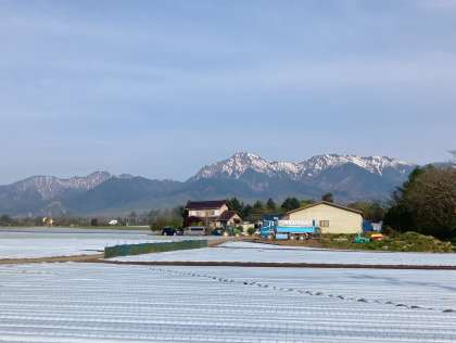 画像２