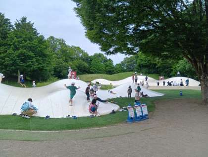 画像１