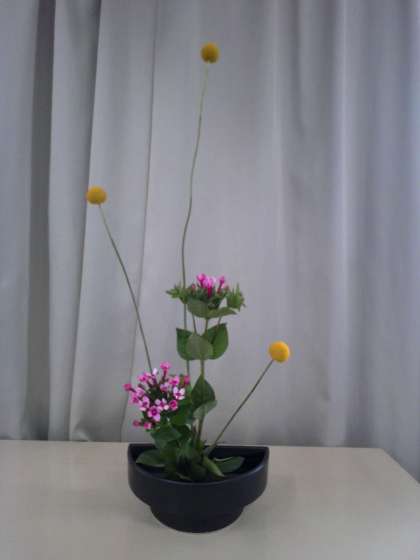画像１