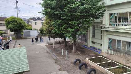 ������