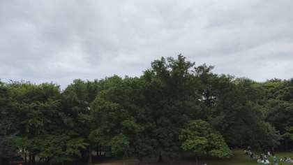 ������