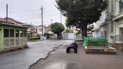 ������