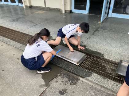 画像３