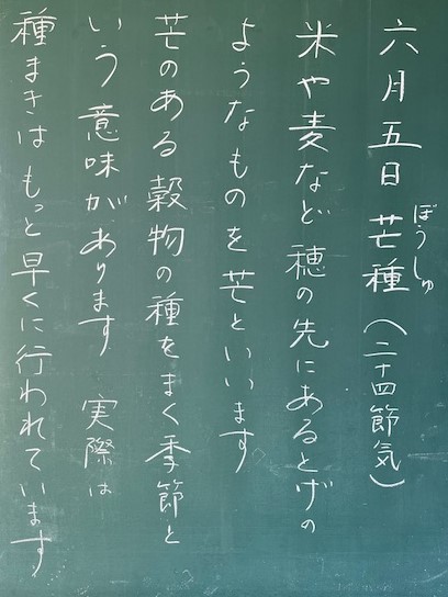 画像１