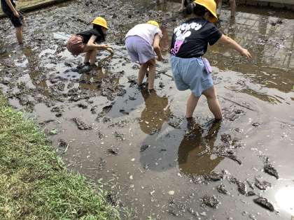 画像２