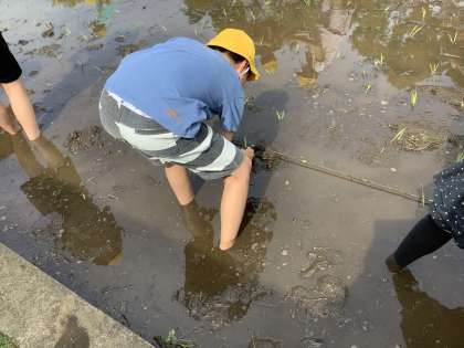 画像３