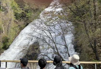 画像１