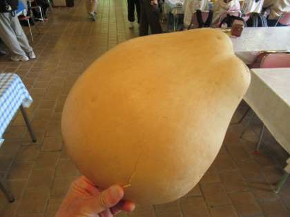 ������