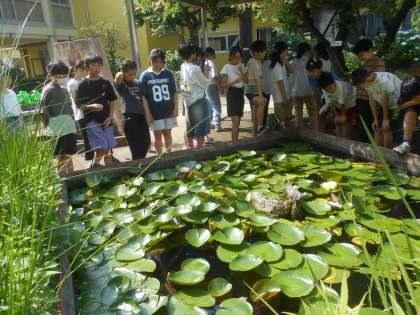 ������