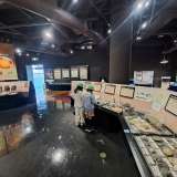 ��������1